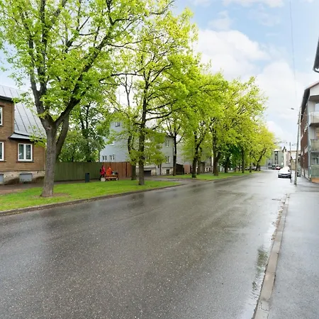 Unique 3 Floor Apartment. Garden, Great Location! *